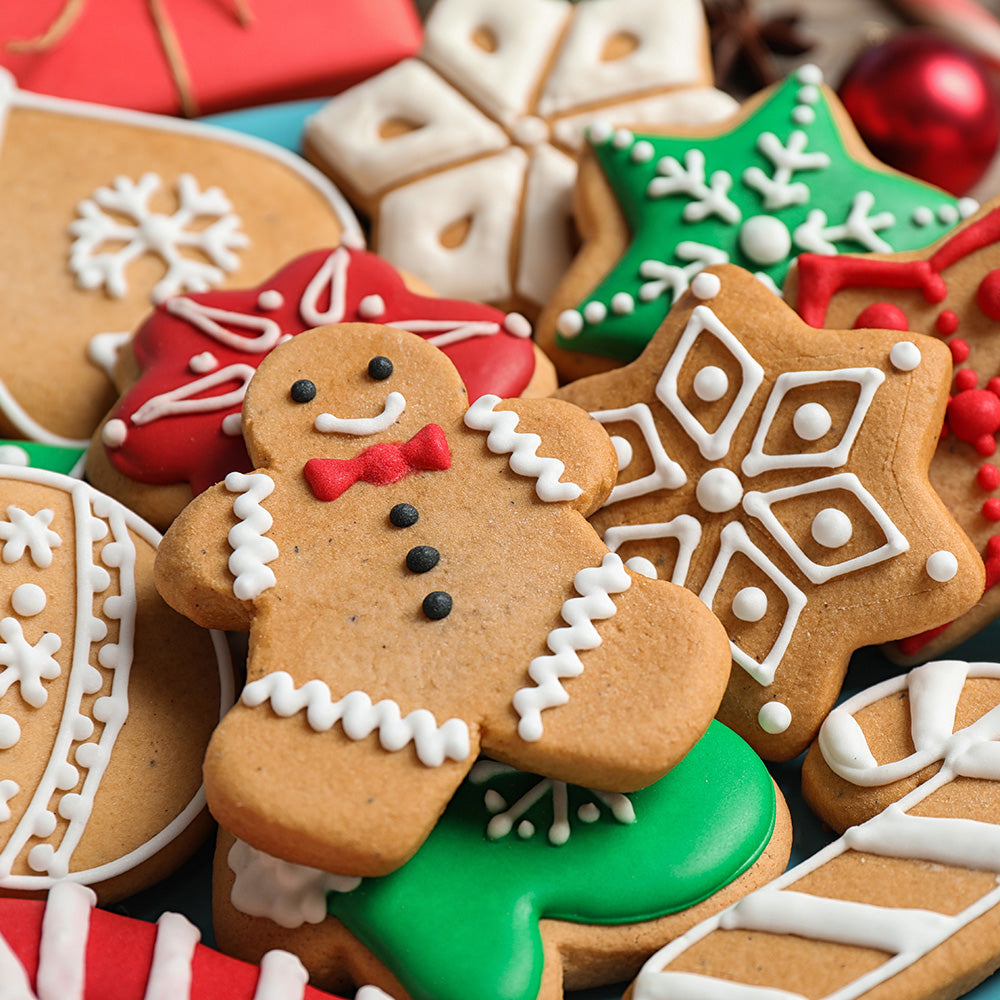 BoneItUp® Christmas Edition Kit Dogs