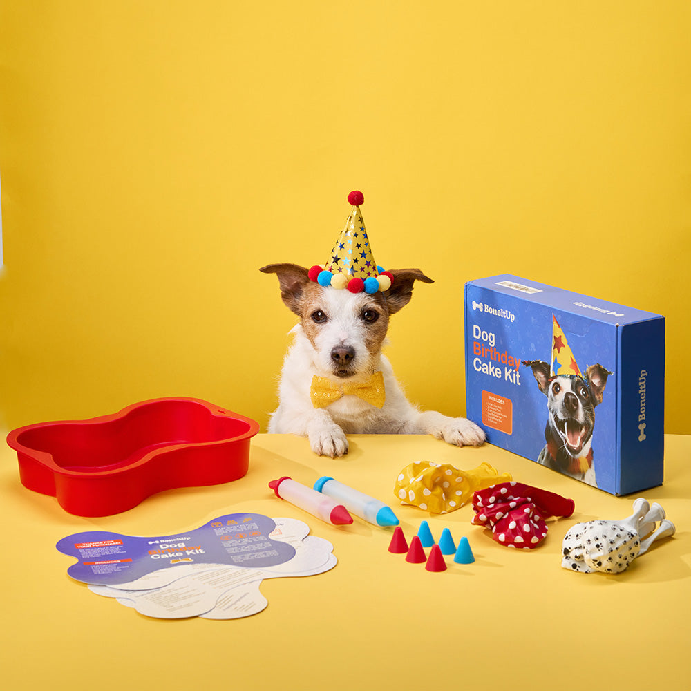 Animated dog bone treat kits with a cartoon dog on the packaging, titled 'Dog Treats Kit.'